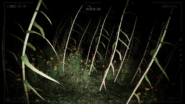 Pombero: The Lord of the Night — vegetación iluminada en la oscuridad