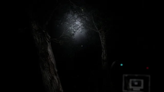 Pombero: The Lord of the Night — sendero nocturno entre árboles